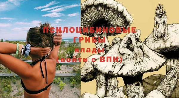 PSILOCYBIN Дмитров
