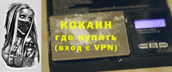 меф Дмитриев