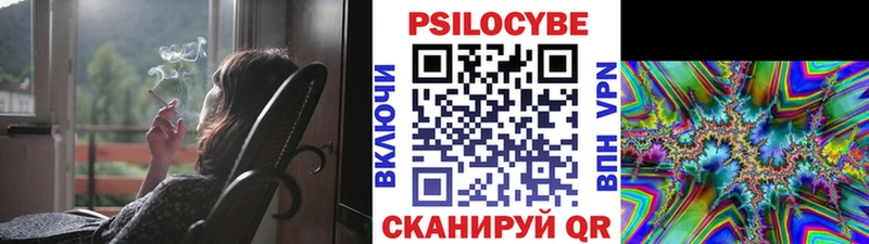 Купить где  Лермонтов  Галлюциногенные грибы Psilocybine cubensis 