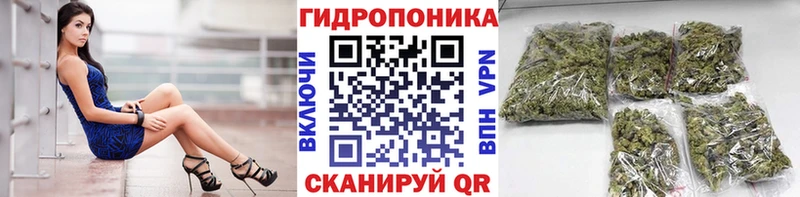 Купить Лермонтов Каннабис LSD WEED